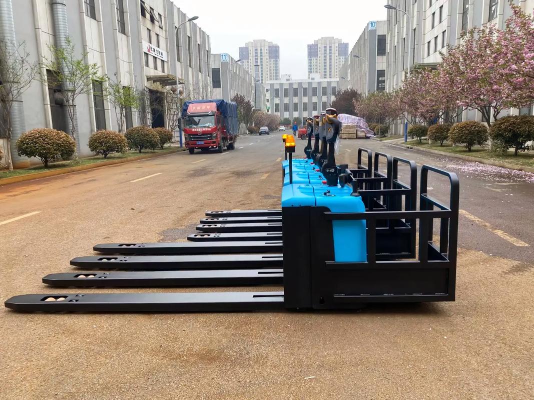 倉(cāng)儲(chǔ)物流工廠非標(biāo)托盤(pán)搬運(yùn)車 額定載重2500kg的高效解決方案